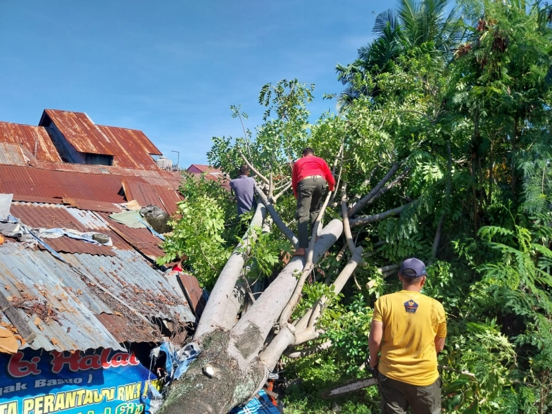 Pohon Kedondong Tumbang dan Menimpa Warung Yetriwati