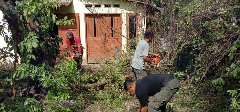 Akibat Hujan dan Angin Kencang 1 Unit Rumah Tertimpa Pohon