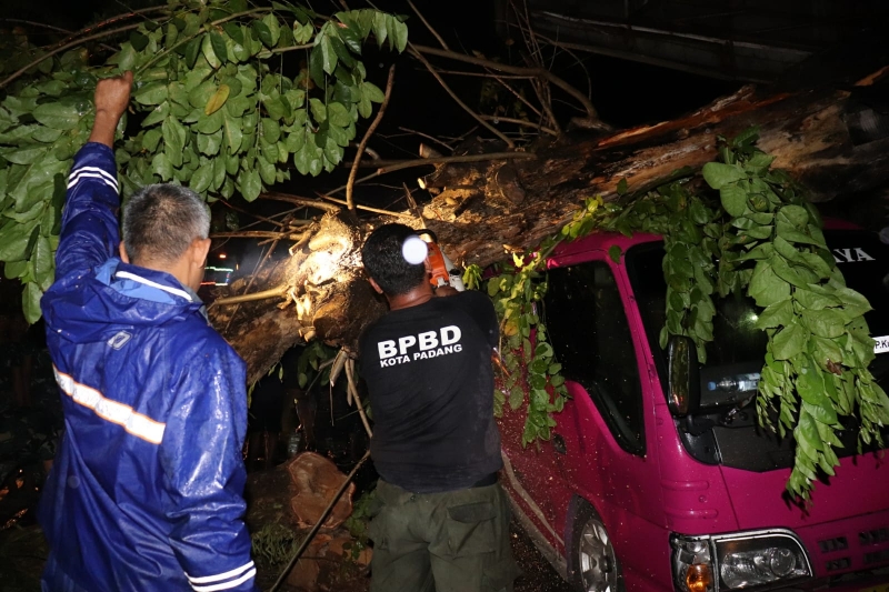 Hujan dan Angin Kencang di Kota Padang 1 unit Bus Tertimpa Pohon