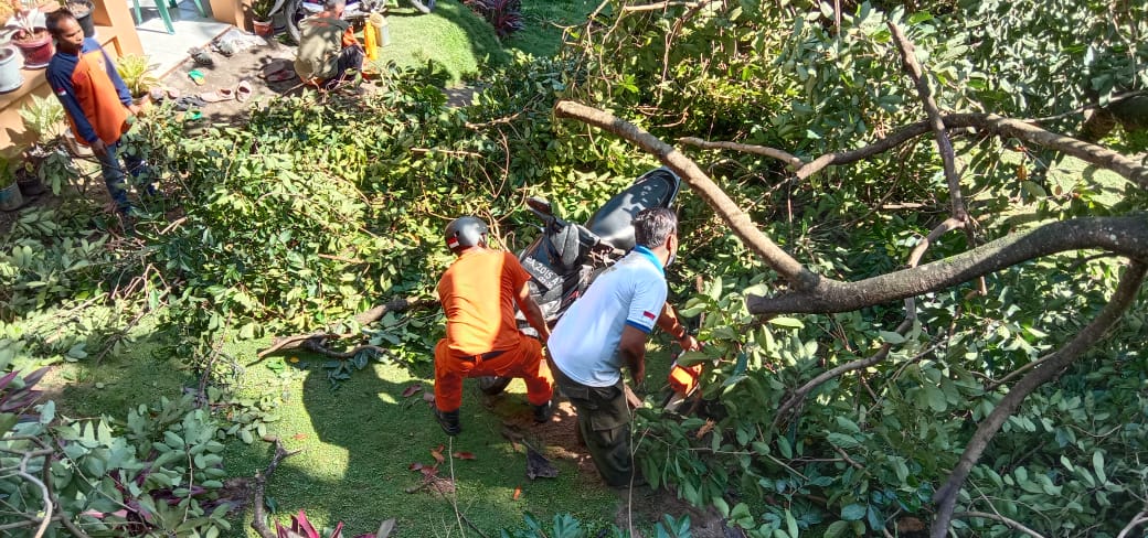 1 Unit Motor Tertimpa Pohon Di Bukit Karan