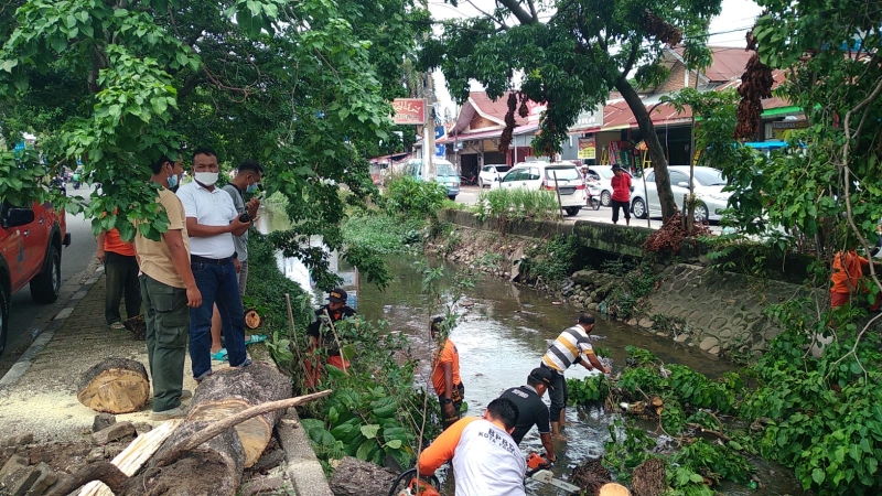 Disaat Liburan BPBD Kota Padang Menerima Informasi Pohon Tumbang