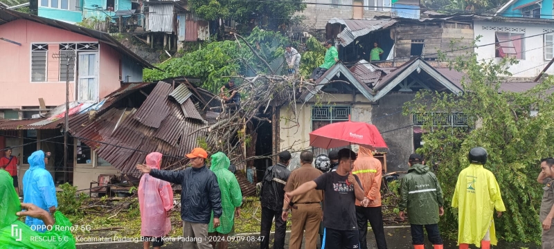 Pohon Tumbang di Batang Arau Menimpa Rumah Satu Orang Luka-Luka