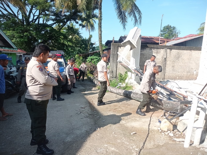 Pohon Tumbang Menghambat Akses Jalan dan Gerbang Perumahan di Tanjung Sabar