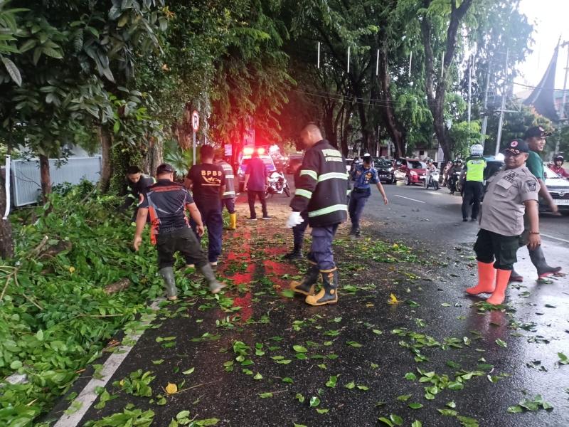 BPBD Kota Padang Mengevakuasi Patahan Pohon Di Jalan Rasuna Said