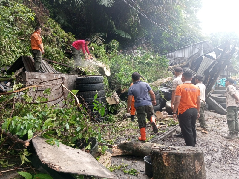 1 Unit Bengkel Di Padang Besi Tertimpa Pohon Tumbang