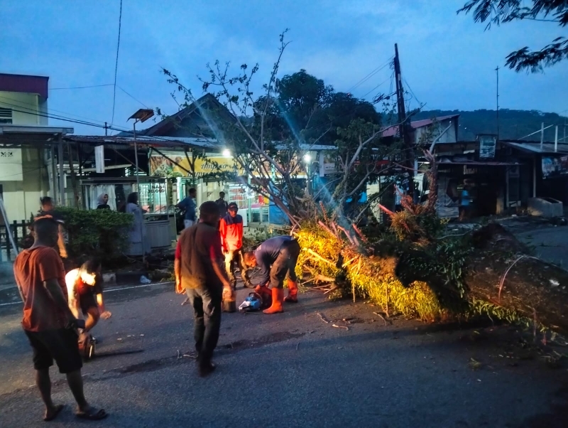 Pohon Tumbang Hambat Akses Jalan dan Timpa Jaringan Kabel Telepon di Kampung Pondok