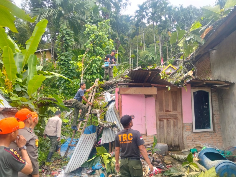 Pohon Tumbang dan Longsor Menimpa Rumah di Kota Padang Kerugian Mencapai Puluhan Juta Rupiah